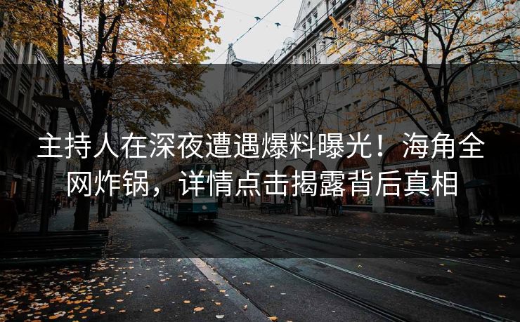 主持人在深夜遭遇爆料曝光！海角全网炸锅，详情点击揭露背后真相