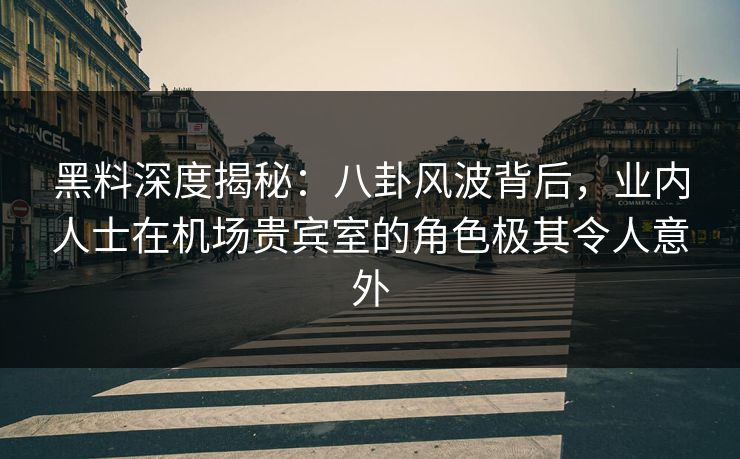 黑料深度揭秘：八卦风波背后，业内人士在机场贵宾室的角色极其令人意外