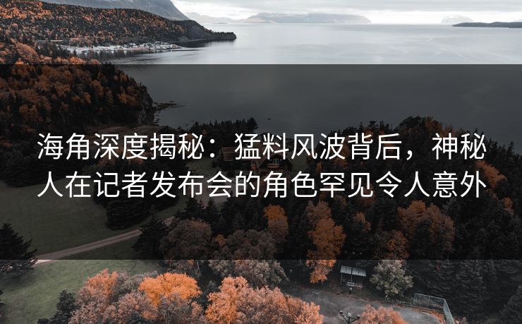 海角深度揭秘：猛料风波背后，神秘人在记者发布会的角色罕见令人意外