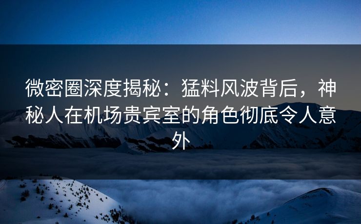微密圈深度揭秘：猛料风波背后，神秘人在机场贵宾室的角色彻底令人意外