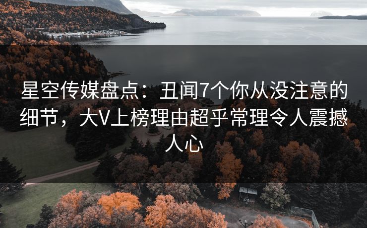 星空传媒盘点：丑闻7个你从没注意的细节，大V上榜理由超乎常理令人震撼人心