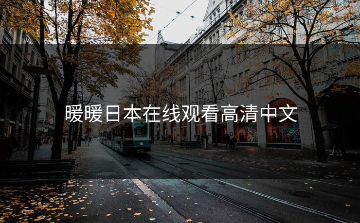 暖暖日本在线观看高清中文