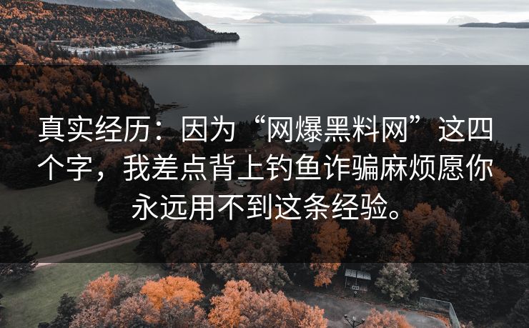 真实经历：因为“网爆黑料网”这四个字，我差点背上钓鱼诈骗麻烦愿你永远用不到这条经验。
